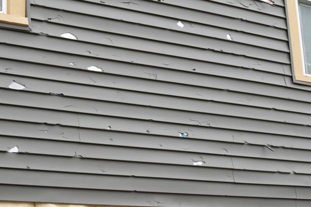 Best Moving and Downsizing Cleanouts  in Cerro Gordo, IL