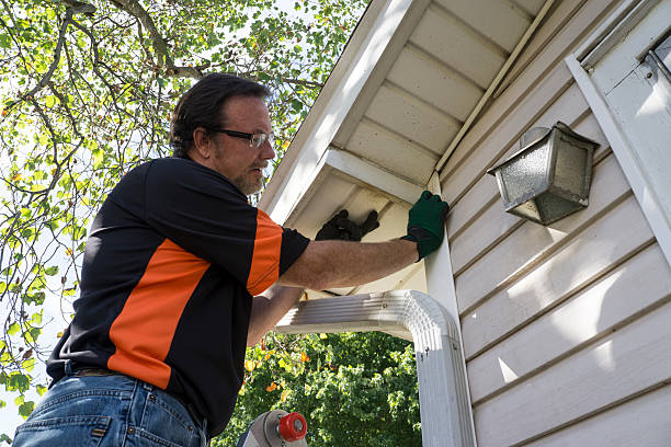 Best Hoarding Cleanup  in Cerro Gordo, IL